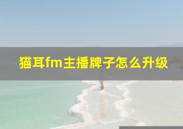 猫耳fm主播牌子怎么升级