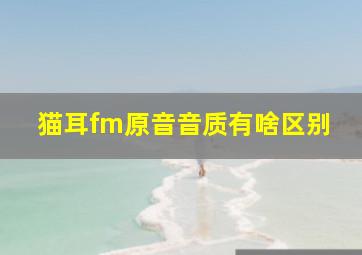 猫耳fm原音音质有啥区别