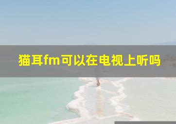 猫耳fm可以在电视上听吗