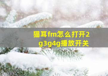 猫耳fm怎么打开2g3g4g播放开关