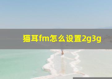 猫耳fm怎么设置2g3g