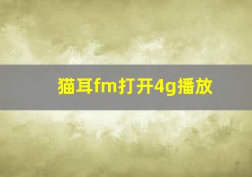 猫耳fm打开4g播放