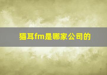 猫耳fm是哪家公司的