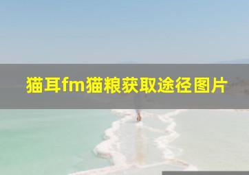 猫耳fm猫粮获取途径图片