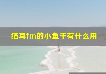 猫耳fm的小鱼干有什么用