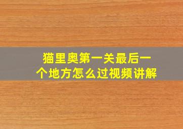 猫里奥第一关最后一个地方怎么过视频讲解