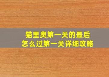 猫里奥第一关的最后怎么过第一关详细攻略