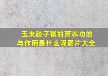 玉米碴子粥的营养功效与作用是什么呢图片大全