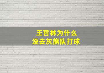 王哲林为什么没去灰熊队打球