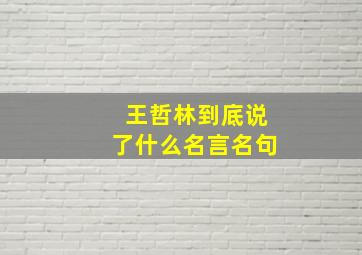 王哲林到底说了什么名言名句