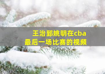 王治郅姚明在cba最后一场比赛的视频