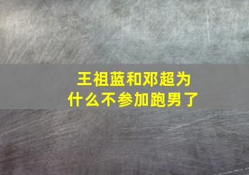 王祖蓝和邓超为什么不参加跑男了