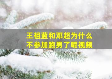 王祖蓝和邓超为什么不参加跑男了呢视频