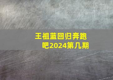 王祖蓝回归奔跑吧2024第几期