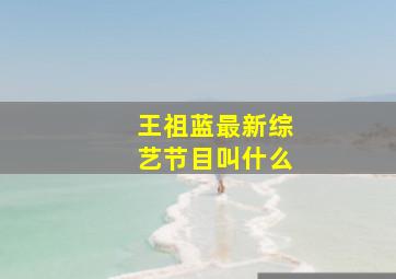 王祖蓝最新综艺节目叫什么