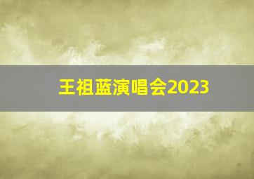 王祖蓝演唱会2023