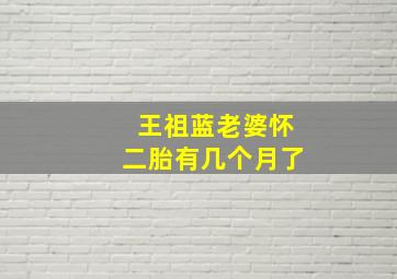 王祖蓝老婆怀二胎有几个月了