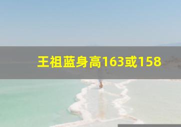 王祖蓝身高163或158