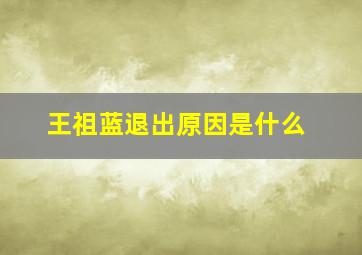 王祖蓝退出原因是什么