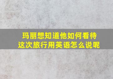 玛丽想知道他如何看待这次旅行用英语怎么说呢