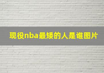 现役nba最矮的人是谁图片