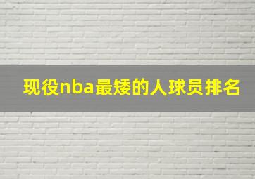 现役nba最矮的人球员排名