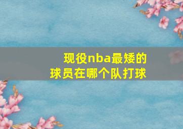 现役nba最矮的球员在哪个队打球