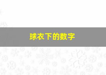 球衣下的数字