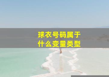 球衣号码属于什么变量类型