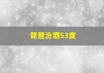 琵琶汾酒53度