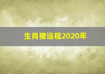 生肖猪运程2020年