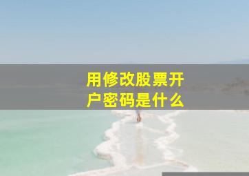 用修改股票开户密码是什么