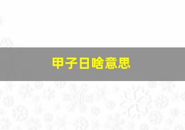 甲子日啥意思