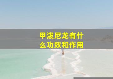 甲泼尼龙有什么功效和作用