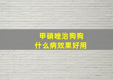 甲硝唑治狗狗什么病效果好用