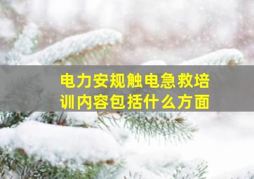 电力安规触电急救培训内容包括什么方面