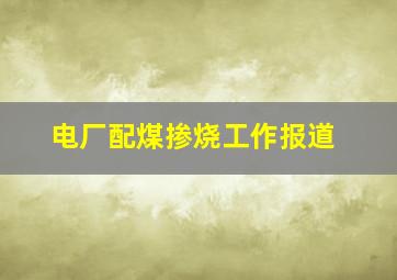 电厂配煤掺烧工作报道