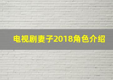 电视剧妻子2018角色介绍