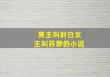 男主叫封白女主叫苏渺的小说