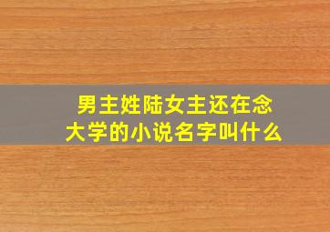 男主姓陆女主还在念大学的小说名字叫什么