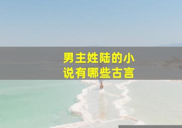 男主姓陆的小说有哪些古言