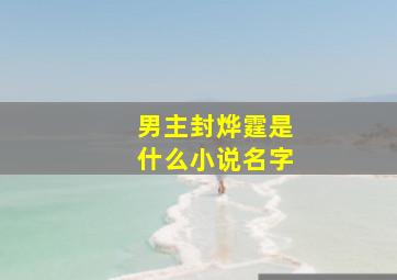 男主封烨霆是什么小说名字