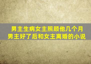 男主生病女主照顾他几个月男主好了后和女主离婚的小说