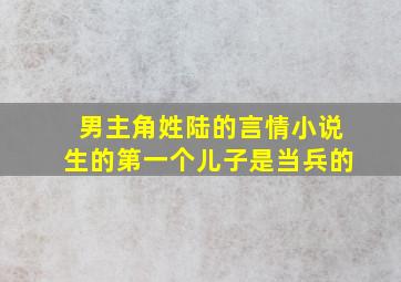 男主角姓陆的言情小说生的第一个儿子是当兵的