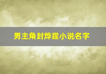 男主角封烨霆小说名字