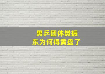 男乒团体樊振东为何得黄盘了