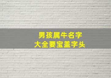 男孩属牛名字大全要宝盖字头