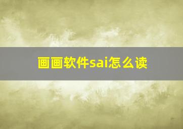 画画软件sai怎么读