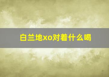 白兰地xo对着什么喝