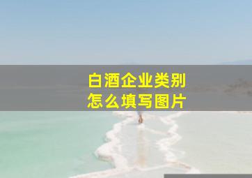 白酒企业类别怎么填写图片